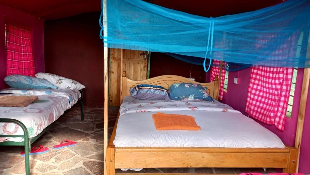 Sekenani Ilkerin Camp Maasai Mara B&B 외부 사진