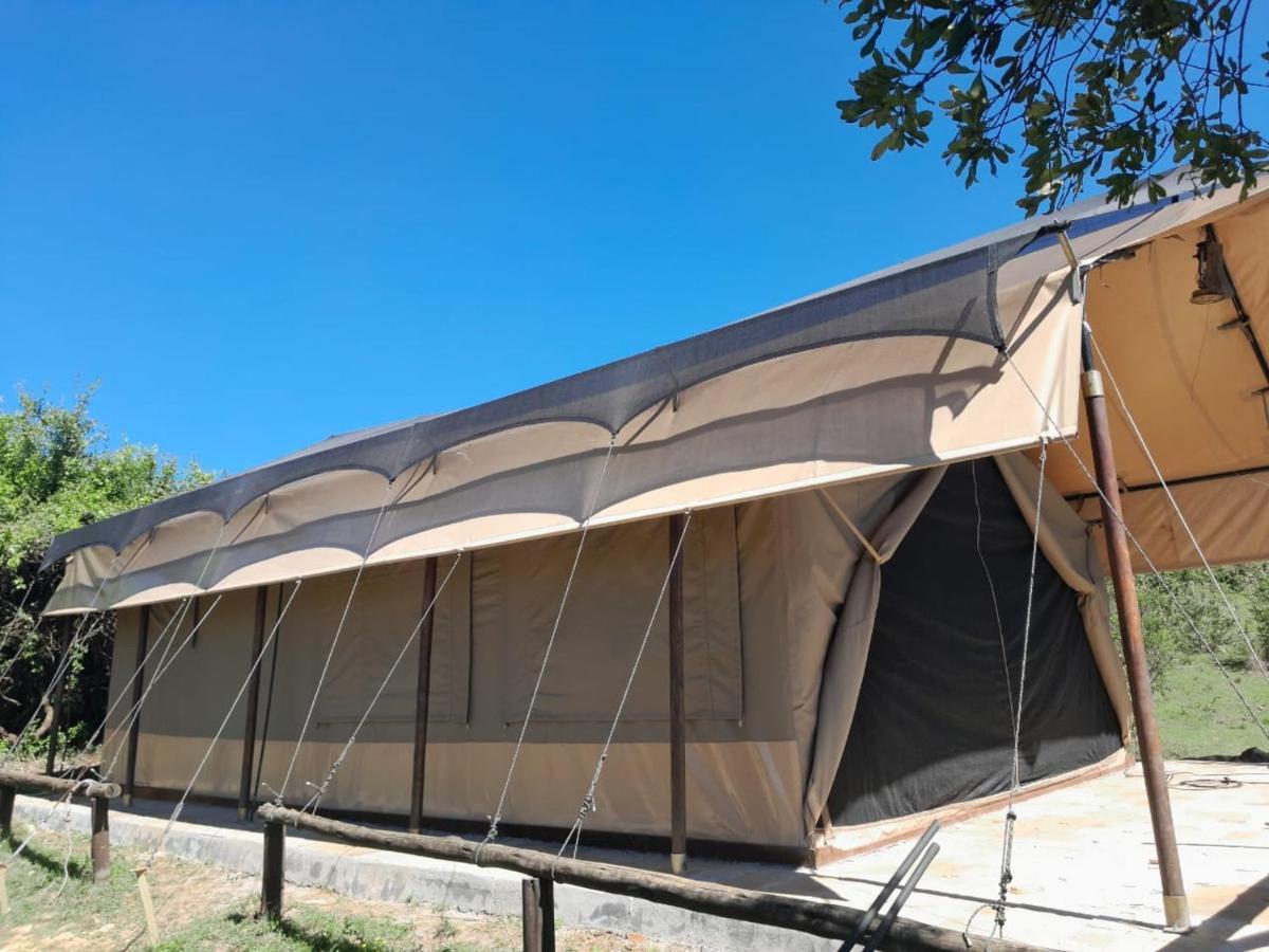 Sekenani Ilkerin Camp Maasai Mara B&B 외부 사진