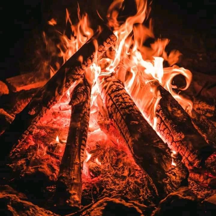 Sekenani Ilkerin Camp Maasai Mara B&B 외부 사진